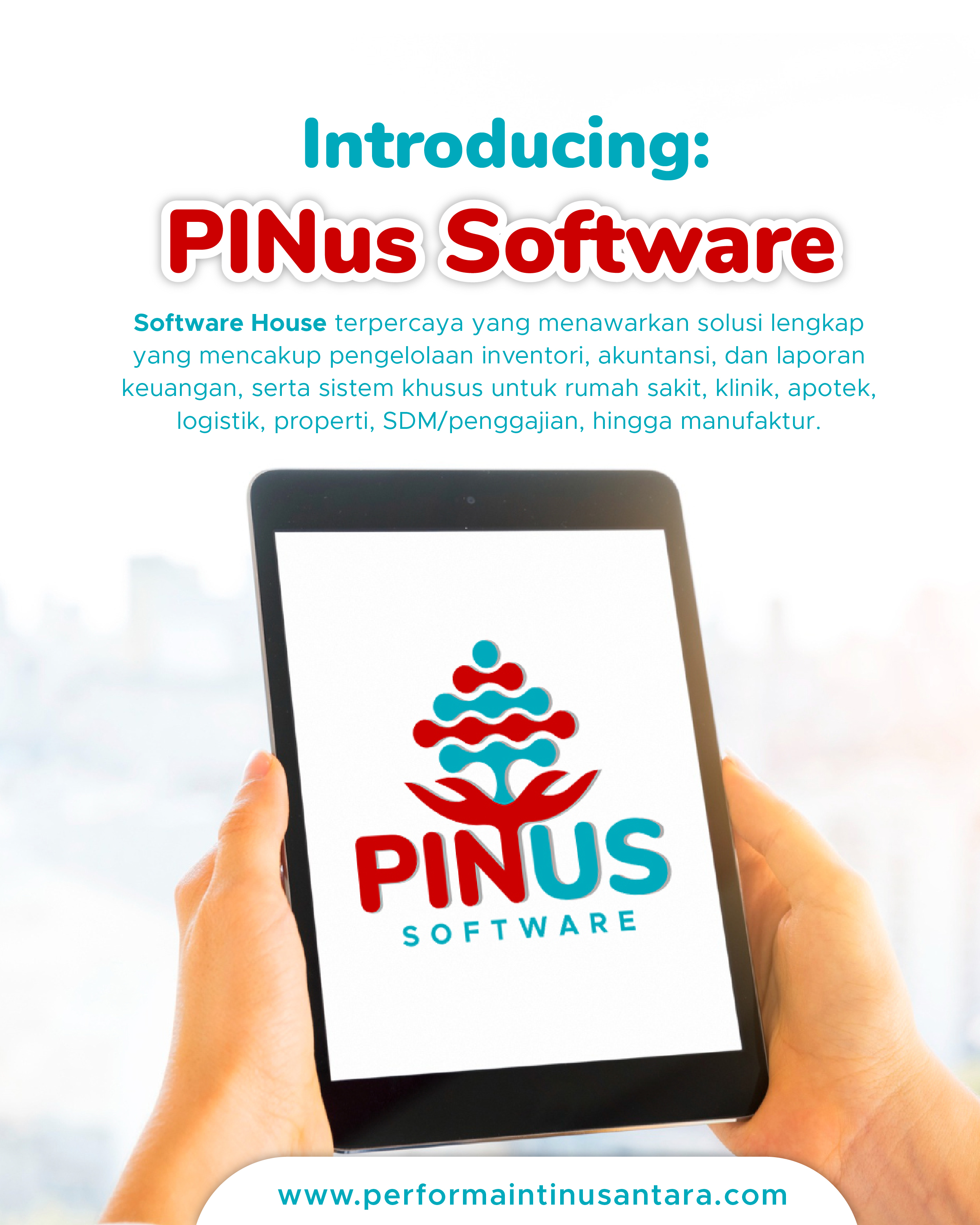 Introducing PINus Software