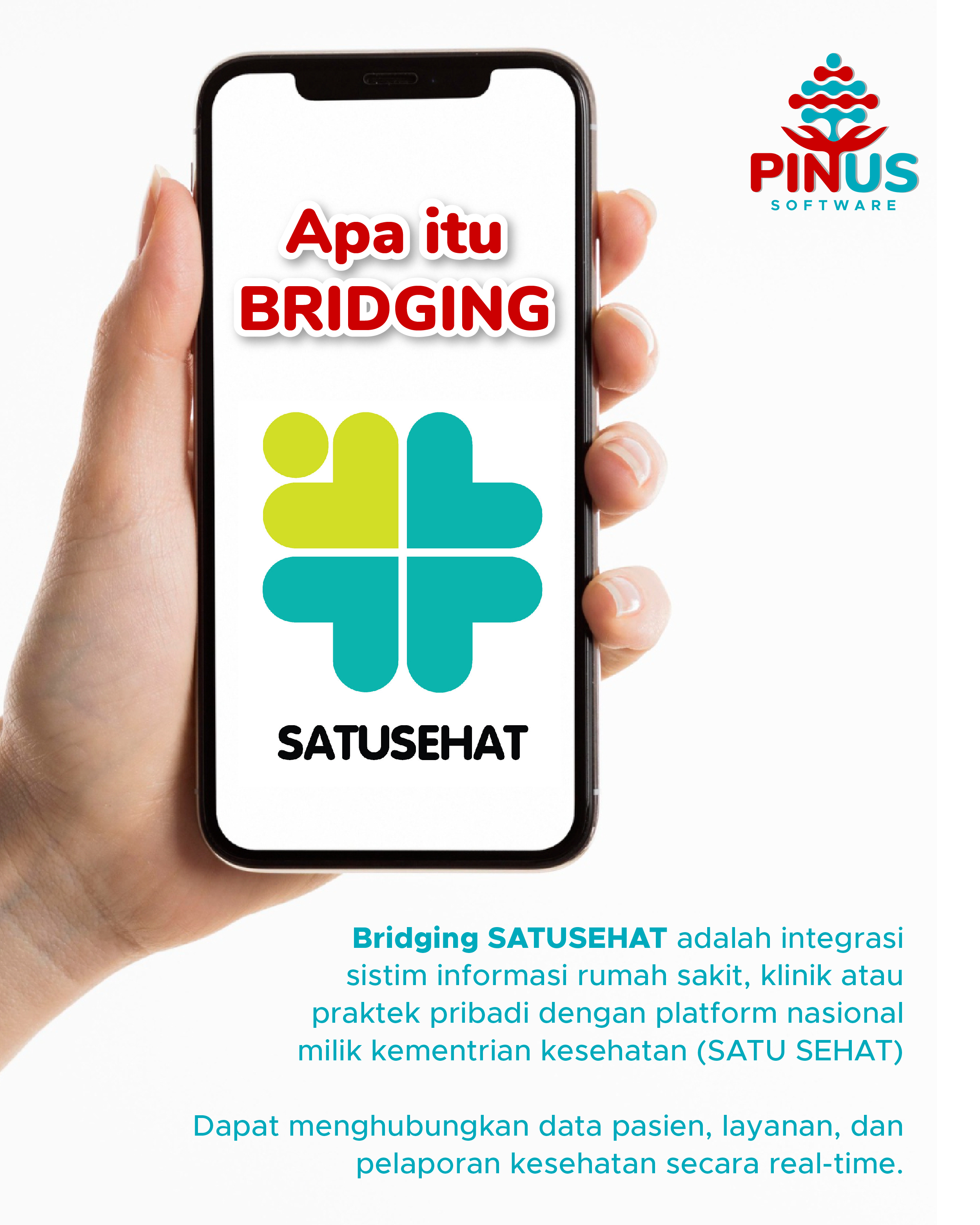 Apa itu Bridging SATUSEHAT